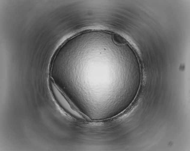 X0000094430845200711291531