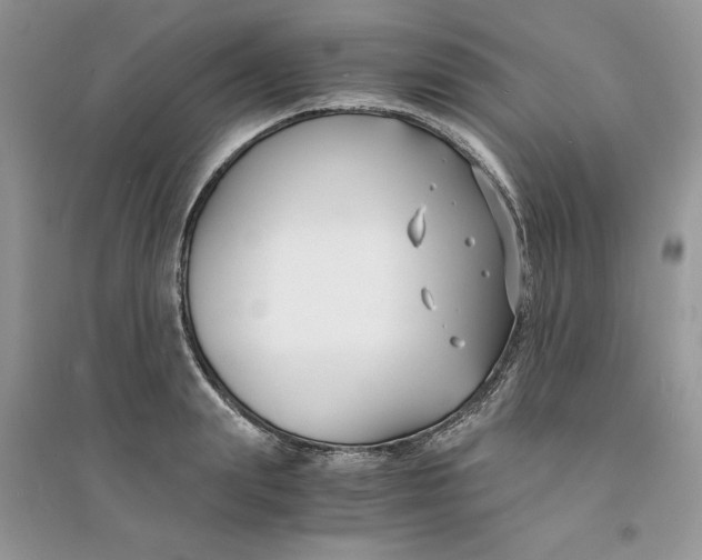 X0000094430847200711291531