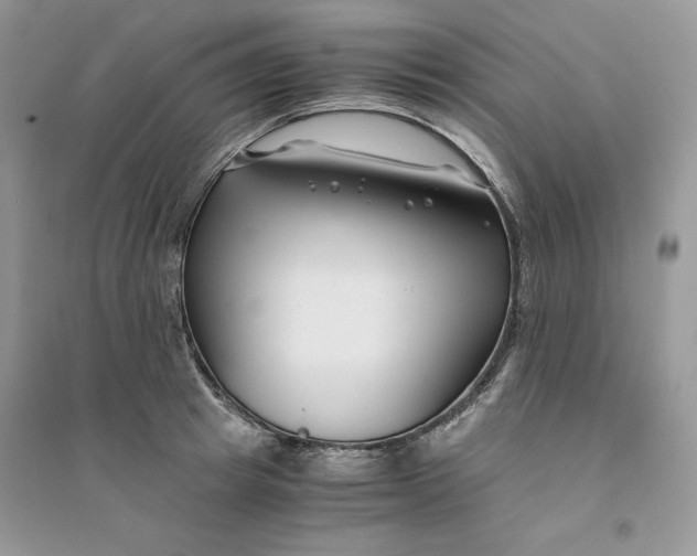 X0000094430849200711291531