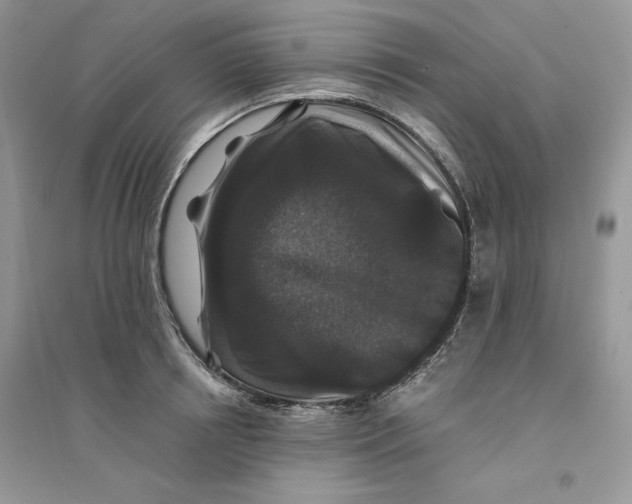 X0000094430850200711291531