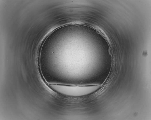 X0000094430851200711291531