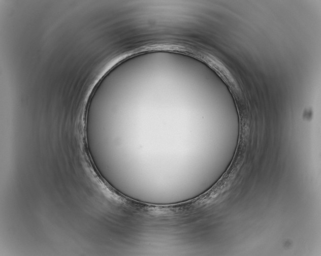 X0000094430852200711291531