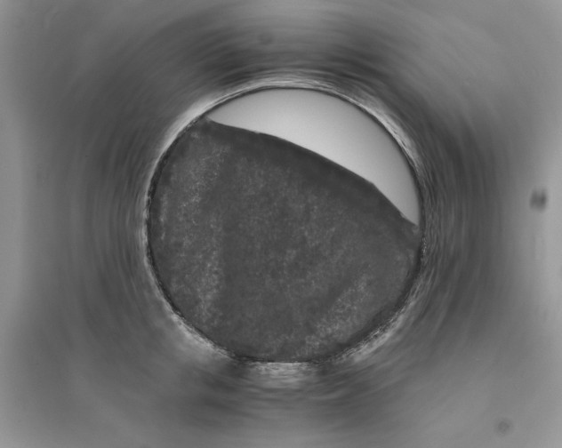 X0000094430853200711291531