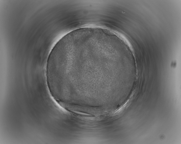 X0000094430855200711291531