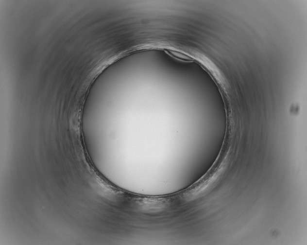 X0000094430857200711291531