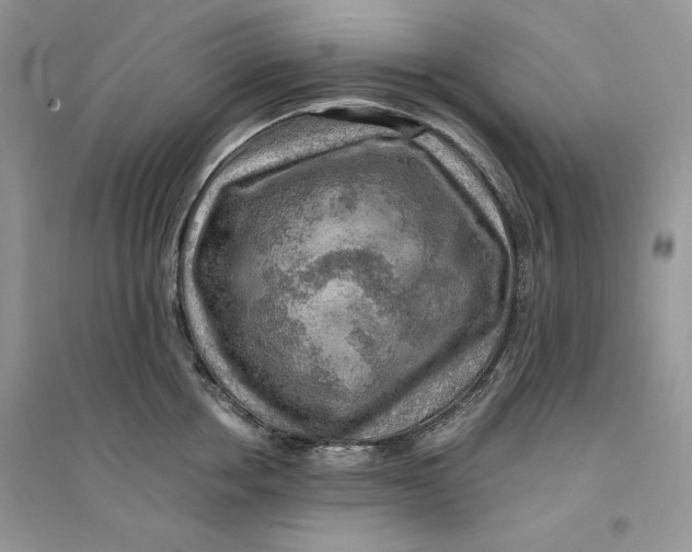 X0000094430858200711291531