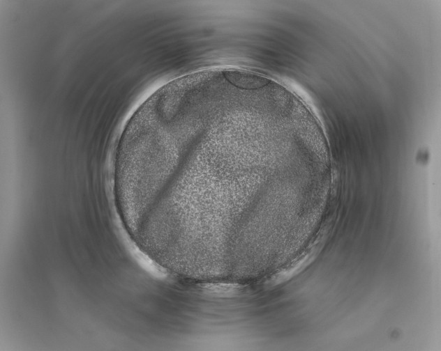 X0000094430859200711291531