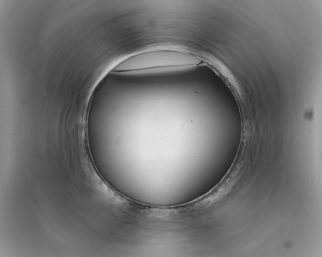 X0000094430860200711291531