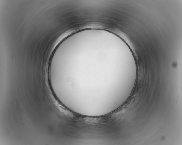 X0000094430861200711291531