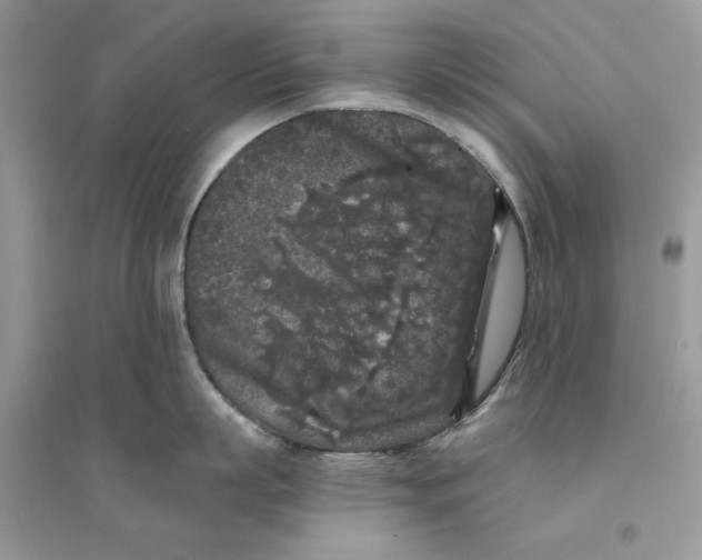 X0000094430863200711291531