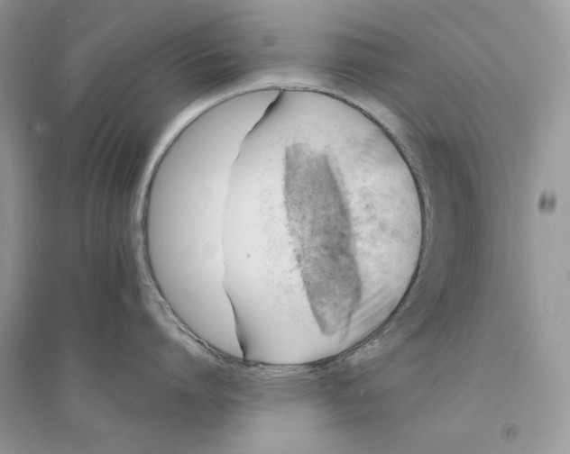 X0000094430864200711291531