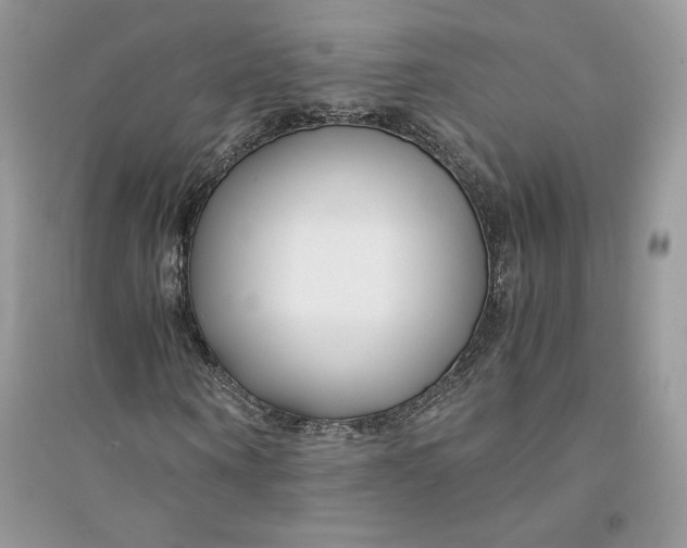 X0000094430866200711291530