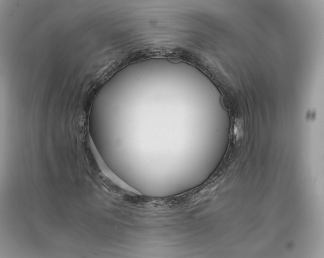 X0000094430867200711291530