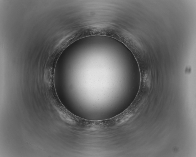 X0000094430868200711291530