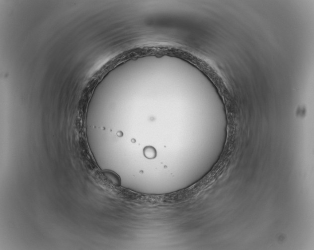 X0000094430871200711291530