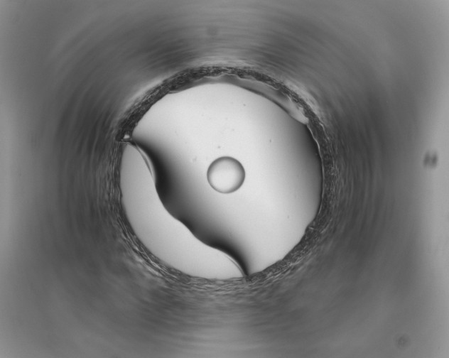 X0000094430872200711291530