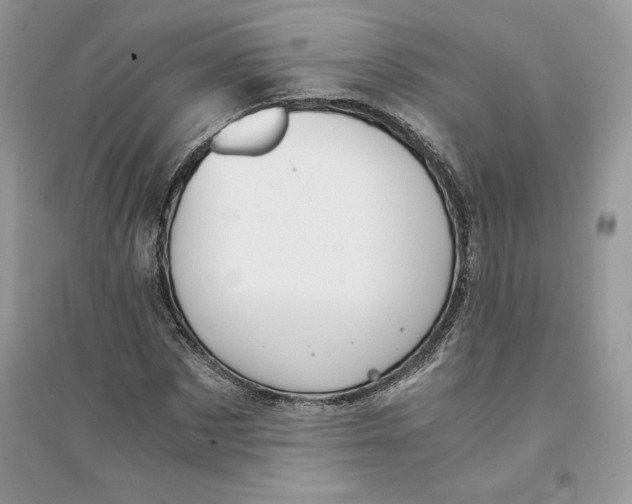 X0000094430873200711291530