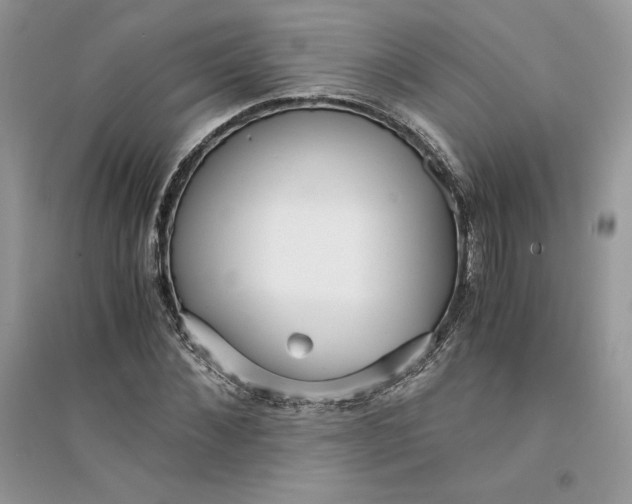 X0000094430876200711291530