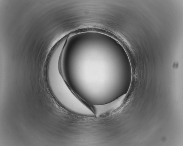 X0000094430877200711291530