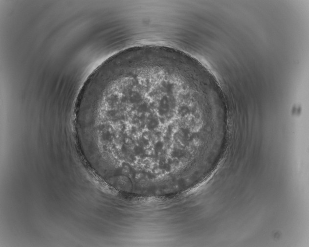 X0000094430879200711291530