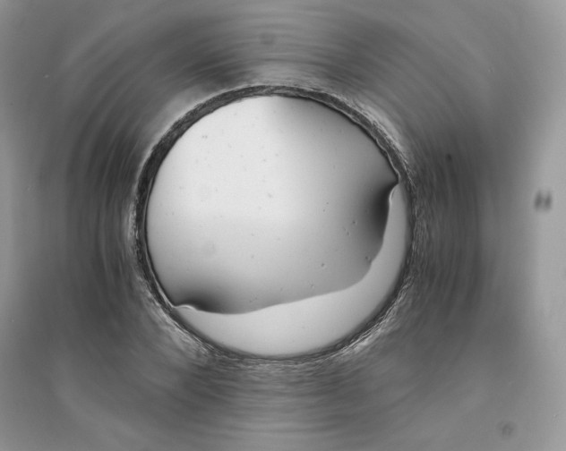 X0000094430880200711291530