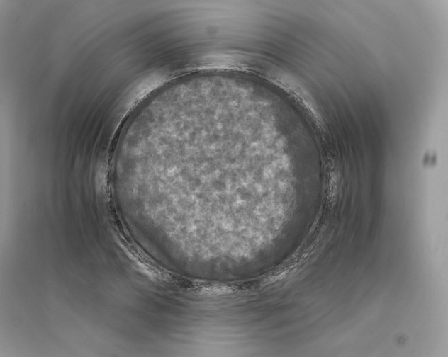 X0000094430882200711291530