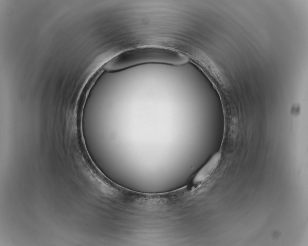 X0000094430884200711291530