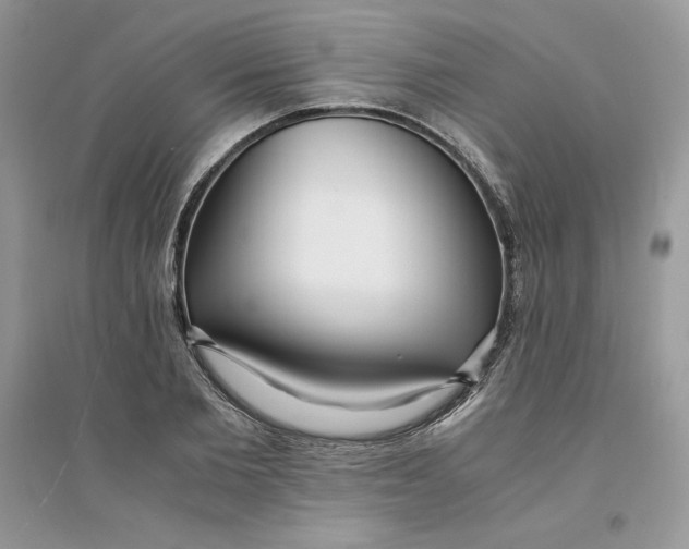 X0000094430885200711291530