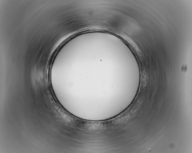 X0000094430886200711291530