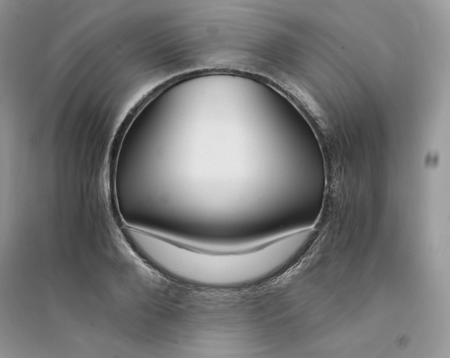 X0000094430888200711291530