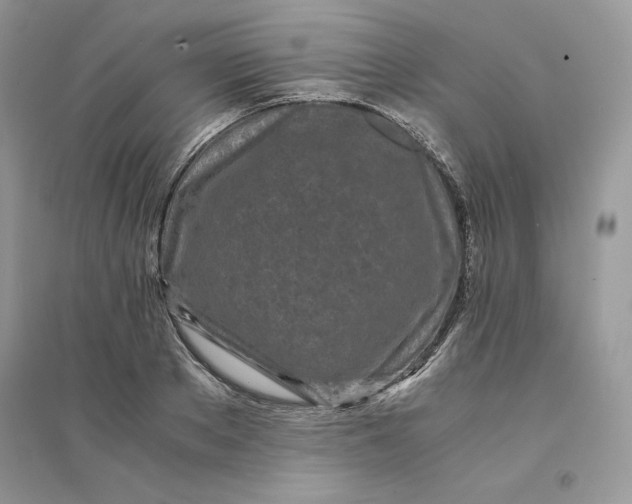 X0000094430889200711291530