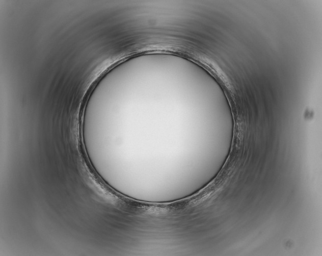 X0000094430890200711291530