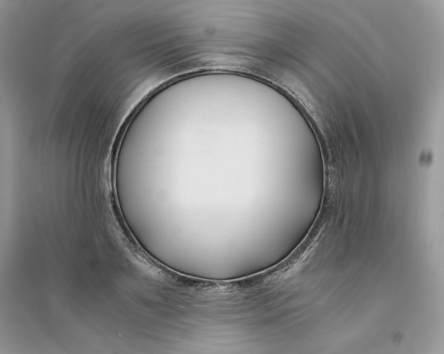 X0000094430891200711291530