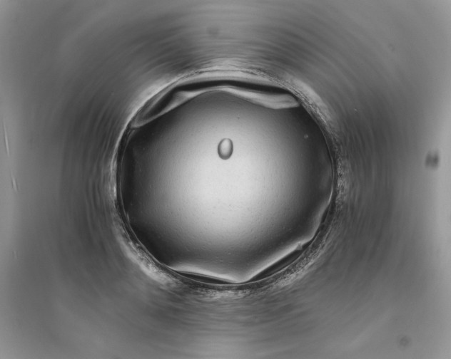 X0000094430892200711291530