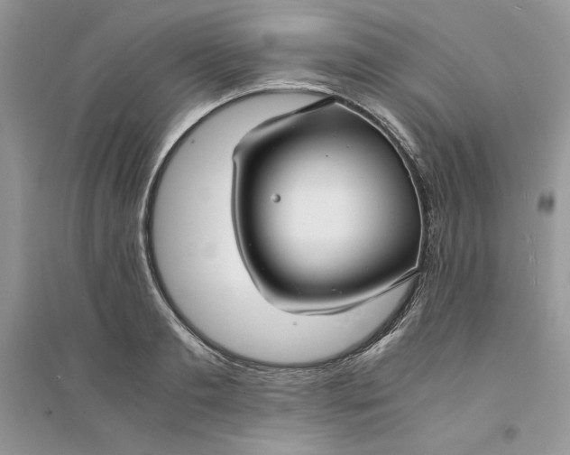 X0000094430893200711291530