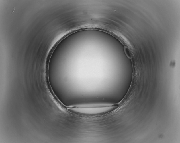 X0000094430894200711291530