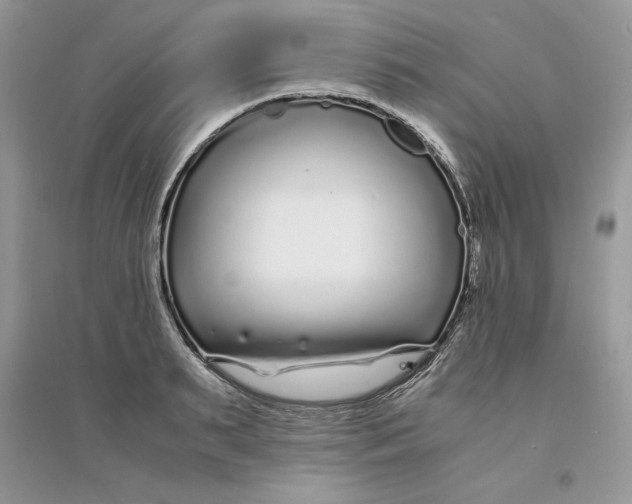 X0000094430895200711291530