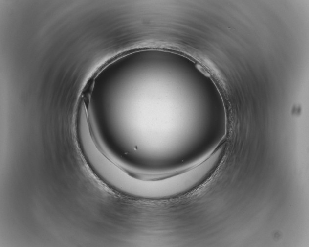 X0000094430896200711291530