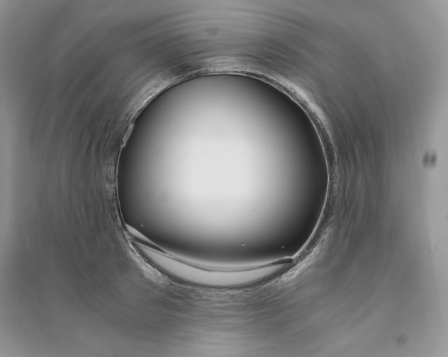 X0000094430897200711291530