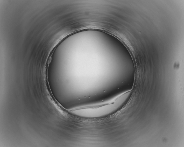 X0000094430898200711291530