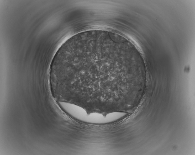 X0000094430899200711291530