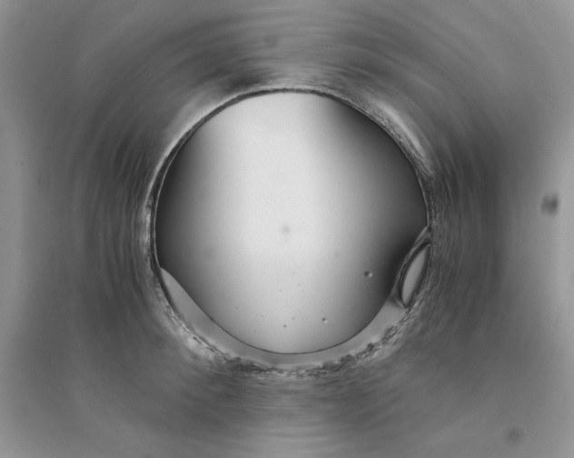 X0000094430900200711291530