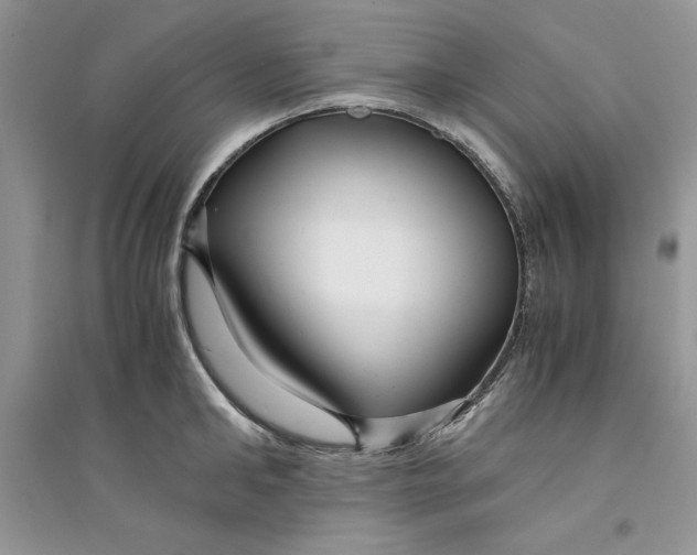 X0000094430902200711291530