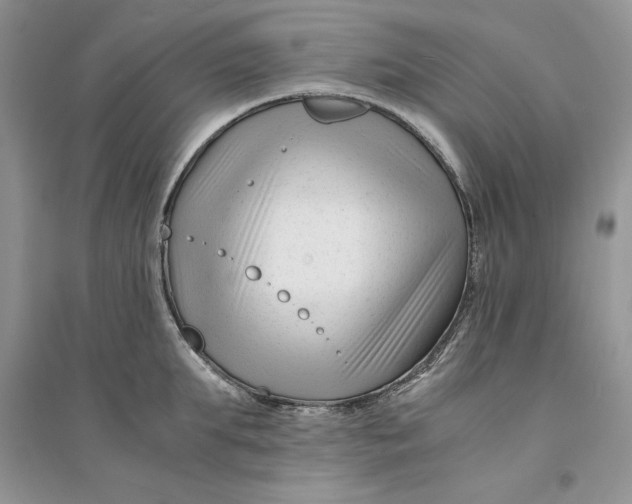 X0000094430903200711291530