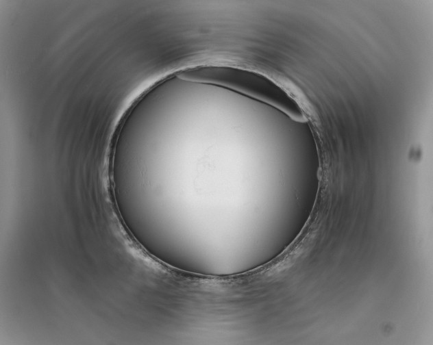 X0000094430904200711291530