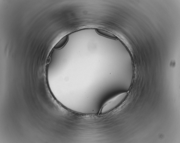 X0000094430906200711291530