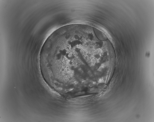 X0000094430907200711291530