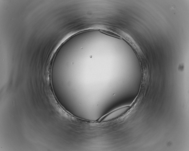 X0000094430908200711291530