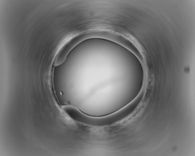 X0000094430909200711291530