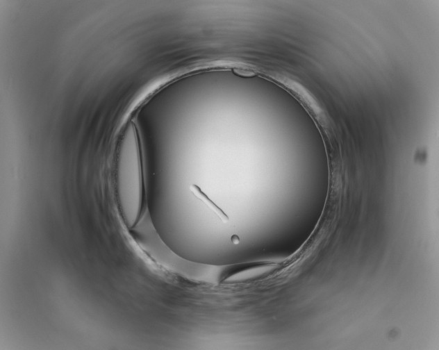 X0000094430910200711291530